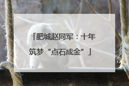 肥城赵同军：十年筑梦“点石成金”