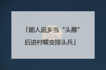 能人返乡当“头雁” 后进村蝶变排头兵