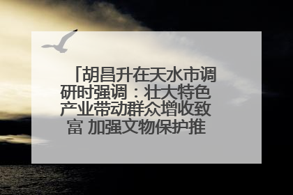胡昌升在天水市调研时强调：壮大特色产业带动群众增收致富 加强文物保护推动文化创新发展