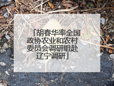 胡春华率全国政协农业和农村委员会调研组赴辽宁调研