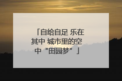 自给自足 乐在其中 城市里的空中“田园梦”