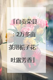 自贡荣县：2万多亩茶用栀子花吐露芳香