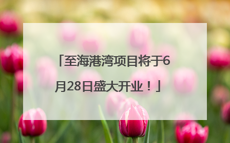 至海港湾项目将于6月28日盛大开业！