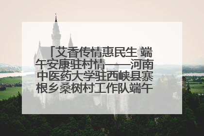 艾香传情惠民生 端午安康驻村情——河南中医药大学驻西峡县寨根乡桑树村工作队端午中医惠民记