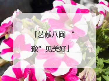 艺献八闽 “豫”见美好