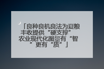 良种良机良法为夏粮丰收提供“硬支撑” 农业现代化图景有“智”更有“质”