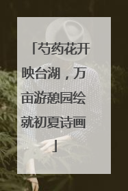 芍药花开映台湖，万亩游憩园绘就初夏诗画