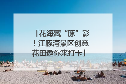 花海藏“豚”影！江豚湾景区创意花田邀你来打卡