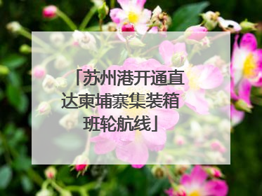 苏州港开通直达柬埔寨集装箱班轮航线