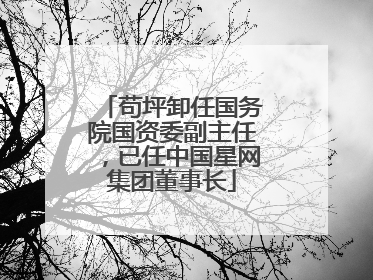 苟坪卸任国务院国资委副主任，已任中国星网集团董事长