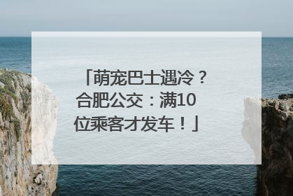 萌宠巴士遇冷？合肥公交：满10位乘客才发车！