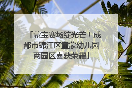 蒙宝赛场绽光芒！成都市锦江区童蒙幼儿园两园区喜获荣耀
