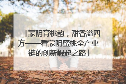 蒙阴育桃韵，甜香溢四方——看蒙阴蜜桃全产业链的创新崛起之路