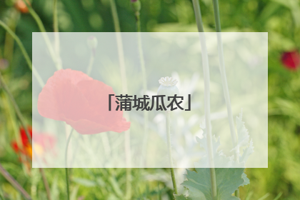 蒲城瓜农