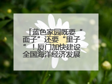 蓝色家园既要“面子”还要“里子”！厦门加快建设全国海洋经济发展示范区