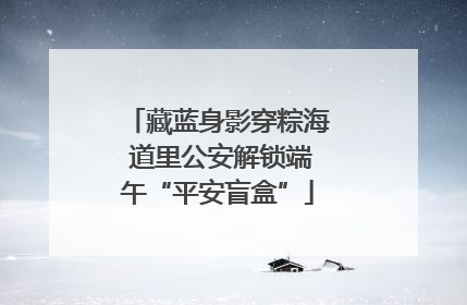 藏蓝身影穿粽海 道里公安解锁端午“平安盲盒”