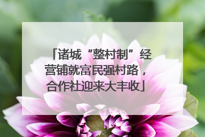 诸城“整村制”经营铺就富民强村路，合作社迎来大丰收