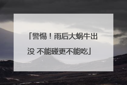警惕！雨后大蜗牛出没 不能碰更不能吃