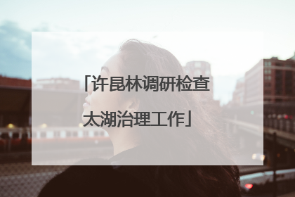 许昆林调研检查太湖治理工作