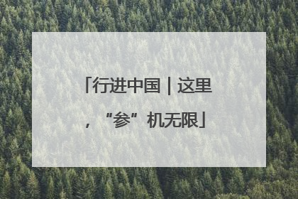 行进中国｜这里，“参”机无限