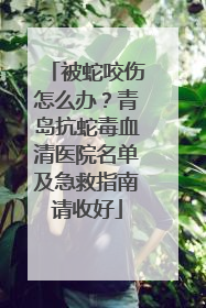 被蛇咬伤怎么办？青岛抗蛇毒血清医院名单及急救指南请收好