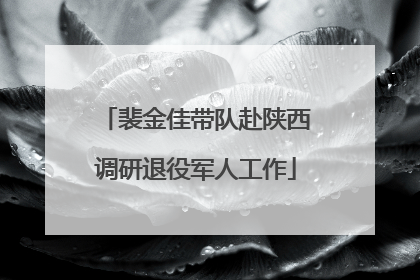 裴金佳带队赴陕西调研退役军人工作
