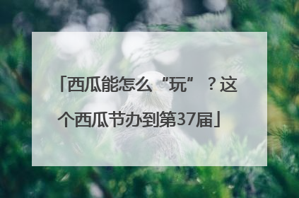 西瓜能怎么“玩”？这个西瓜节办到第37届