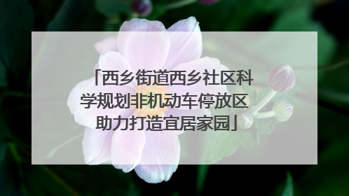 西乡街道西乡社区科学规划非机动车停放区 助力打造宜居家园