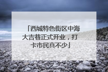 西城特色街区中海大吉巷正式开业，打卡市民真不少