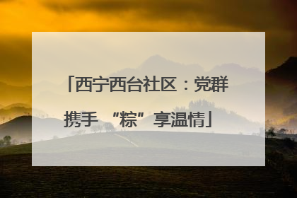 西宁西台社区：党群携手 “粽”享温情