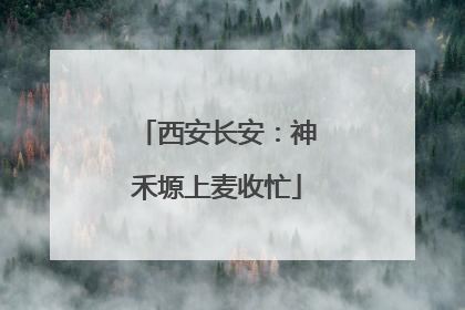 西安长安：神禾塬上麦收忙