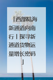 西部陆海新通道向南行丨探寻新通道货物运量增长密码