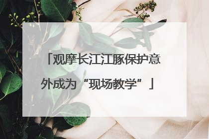 观摩长江江豚保护意外成为“现场教学”