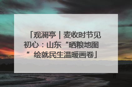 观澜亭｜麦收时节见初心：山东“晒粮地图”绘就民生温暖画卷