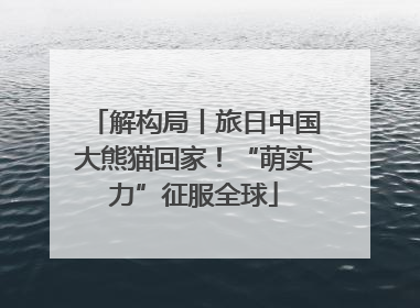 解构局丨旅日中国大熊猫回家！“萌实力”征服全球