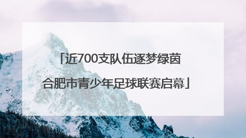 近700支队伍逐梦绿茵 合肥市青少年足球联赛启幕