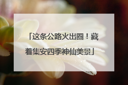 这条公路火出圈！藏着集安四季神仙美景