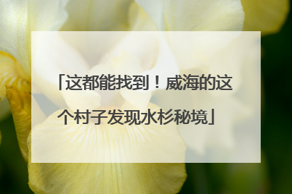 这都能找到！威海的这个村子发现水杉秘境
