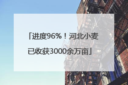 进度96%！河北小麦已收获3000余万亩