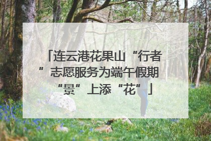 连云港花果山“行者”志愿服务为端午假期“景”上添“花”
