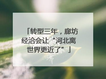 转型三年，廊坊经洽会让“河北离世界更近了”