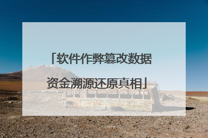 软件作弊篡改数据 资金溯源还原真相