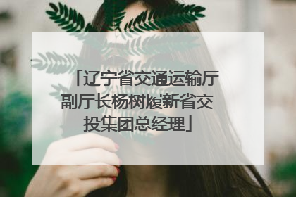 辽宁省交通运输厅副厅长杨树履新省交投集团总经理