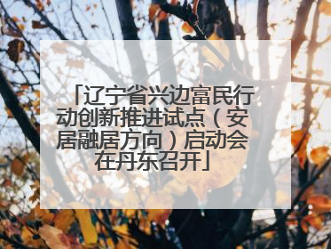 辽宁省兴边富民行动创新推进试点（安居融居方向）启动会在丹东召开