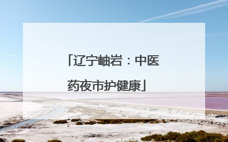 辽宁岫岩:中医药夜市护健康