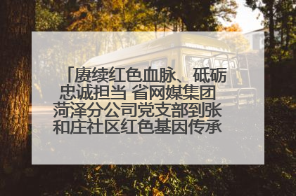 赓续红色血脉、砥砺忠诚担当 省网媒集团菏泽分公司党支部到张和庄社区红色基因传承馆开展主题党日活动