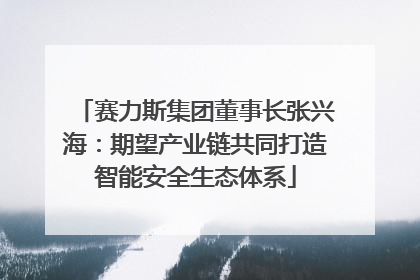 赛力斯集团董事长张兴海：期望产业链共同打造智能安全生态体系