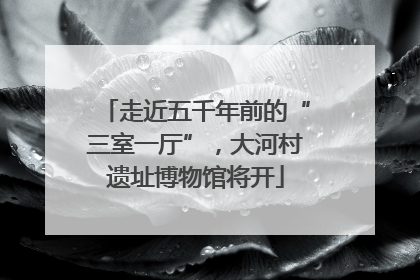 走近五千年前的“三室一厅”，大河村遗址博物馆将开