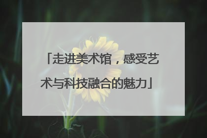 走进美术馆，感受艺术与科技融合的魅力