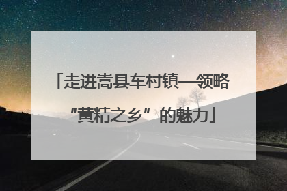 走进嵩县车村镇—领略“黄精之乡”的魅力